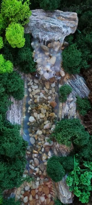 Obraz żywy . Mech chrobotek.  47 x36 w drewnianej ramie