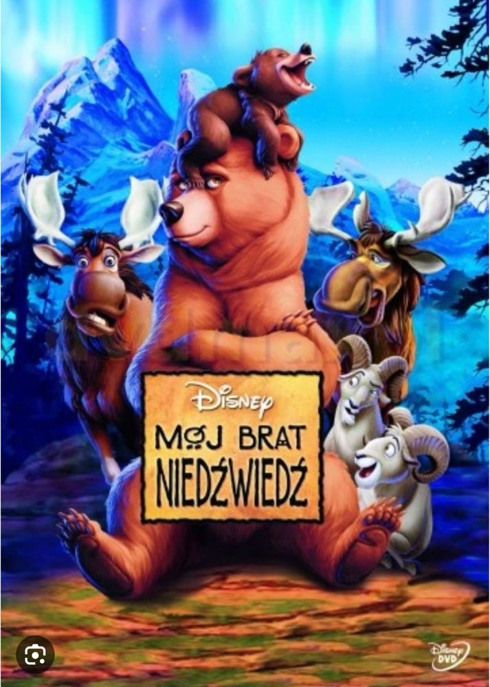 Mój brat niedźwiedź kaseta VHS