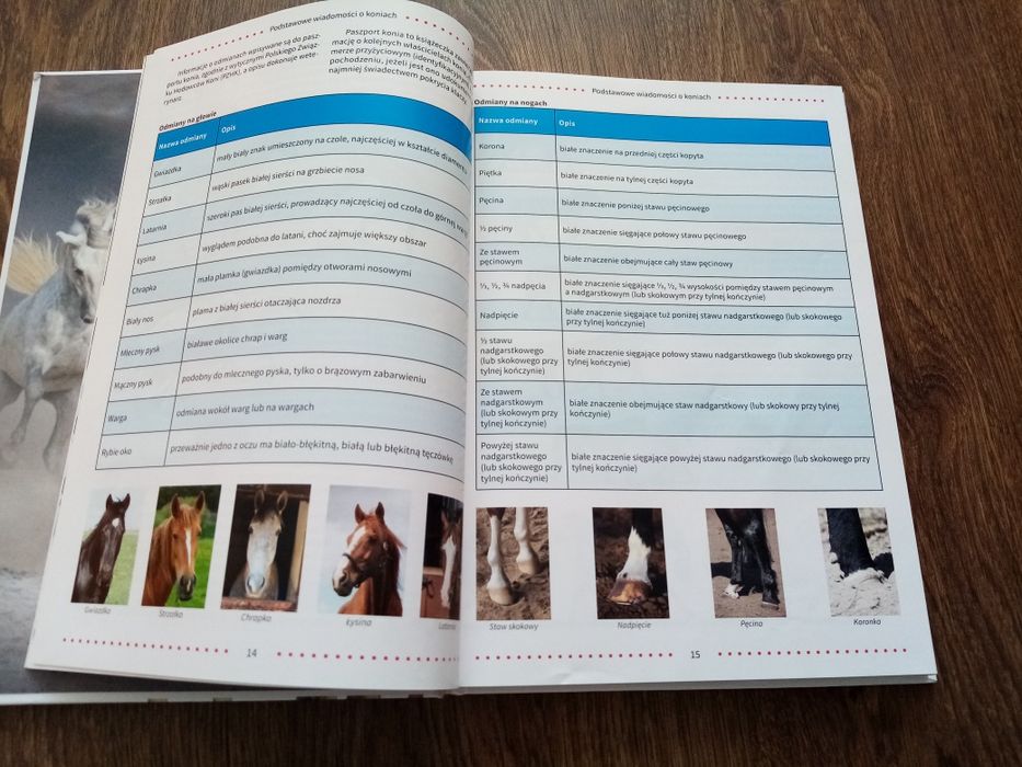 Wielka encyklopedia koni