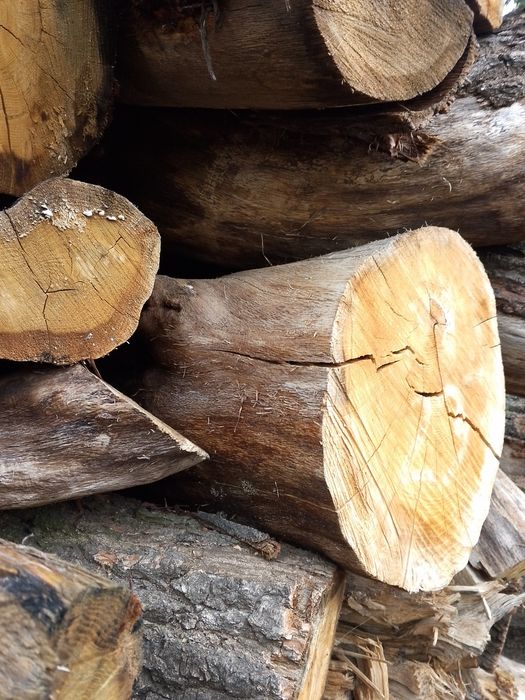 Sprzedam drewno kominkowe