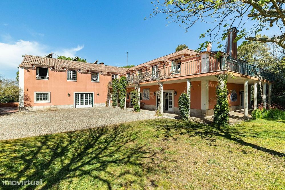 PALÁCIO - Quinta e Casa Rústica em S. Maria e S. Miguel, S. Martinho,