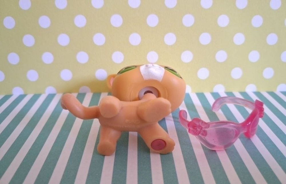 Littlest Pet Shop LPS unikatowy kot Shorthair #72 pop