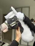 Box hobby horse DIY