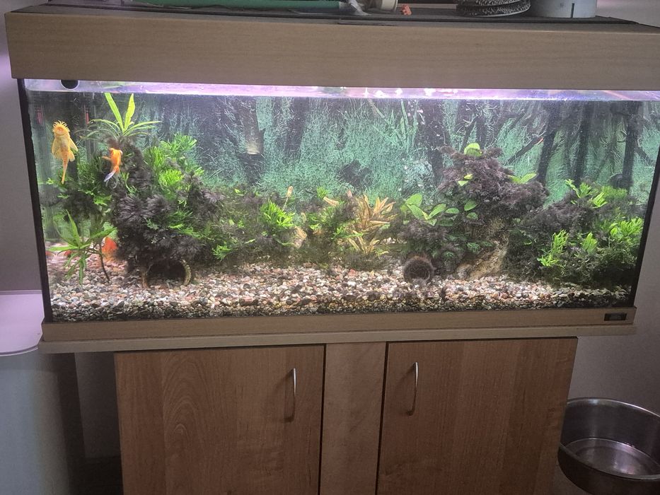 Akwarium  200 l.  Juwel
