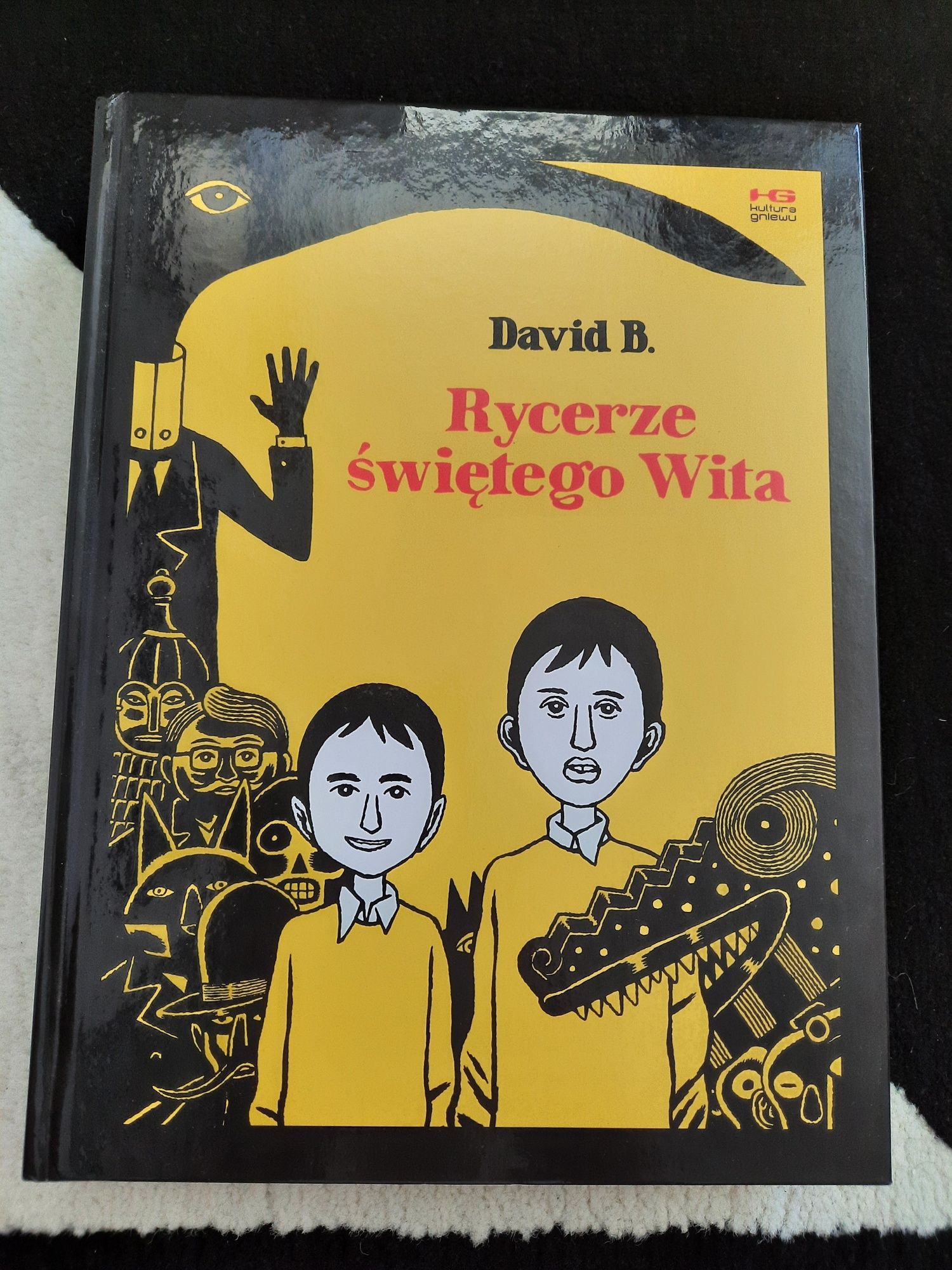 Rycerze świętego Wita - David B.