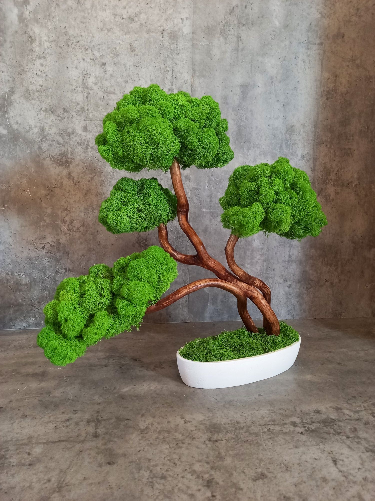 Drzewko bonsai. Mech Chrobotek.Prezent. Wyposażenie wnętrz
