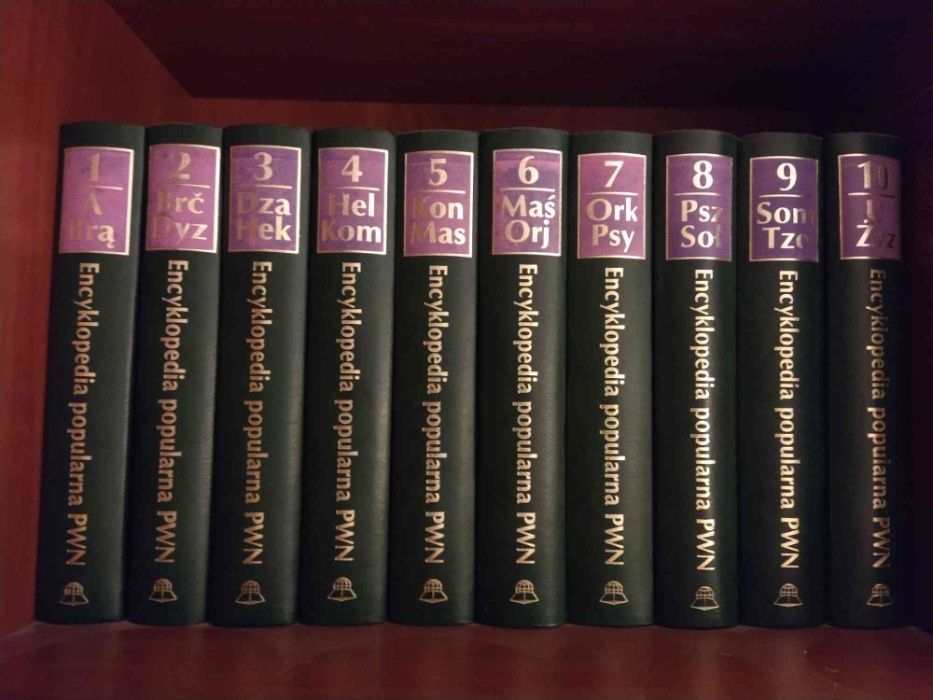 Encyklopedia Popularna PWN w super stanie