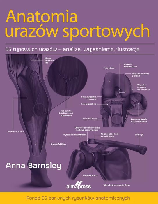 Anatomia urazów sportowych. ALMA-PRESS. Nowy Produkt