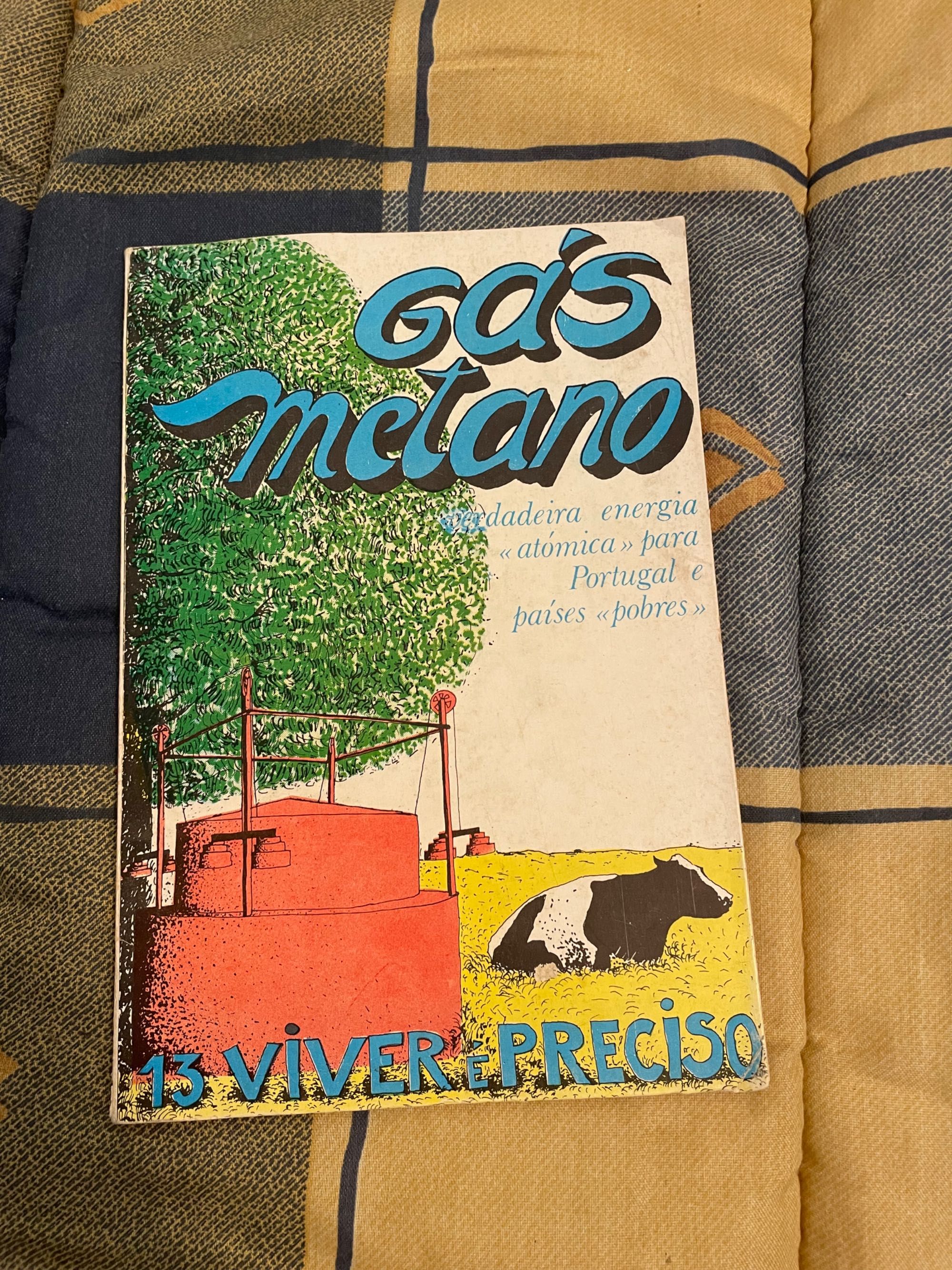 Livro Gás Metano