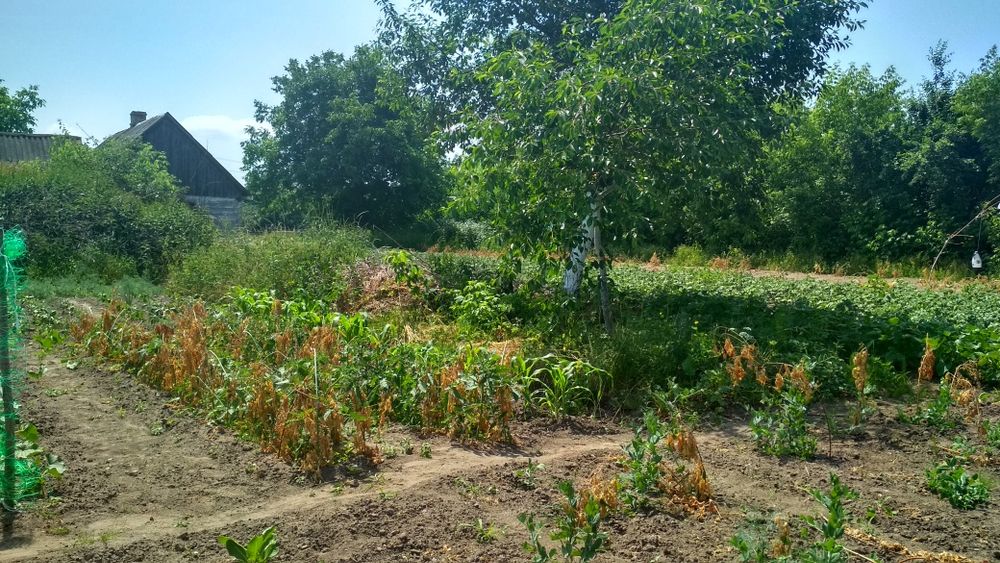 Продам ділянку з будинком