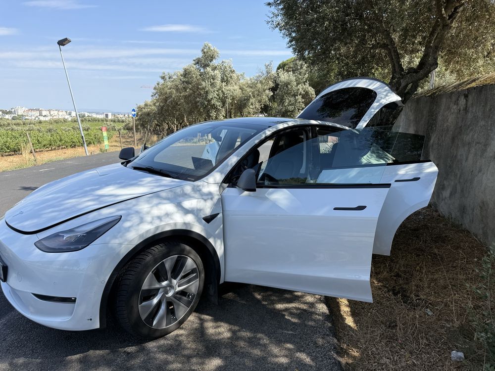 Tesla Model Y Long Range Dual Motor