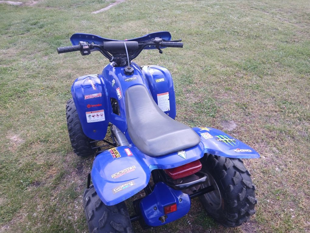 quad MZ 100cc 2t