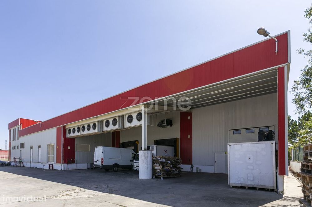 Oportunidade de Investimento, em Mogadouro