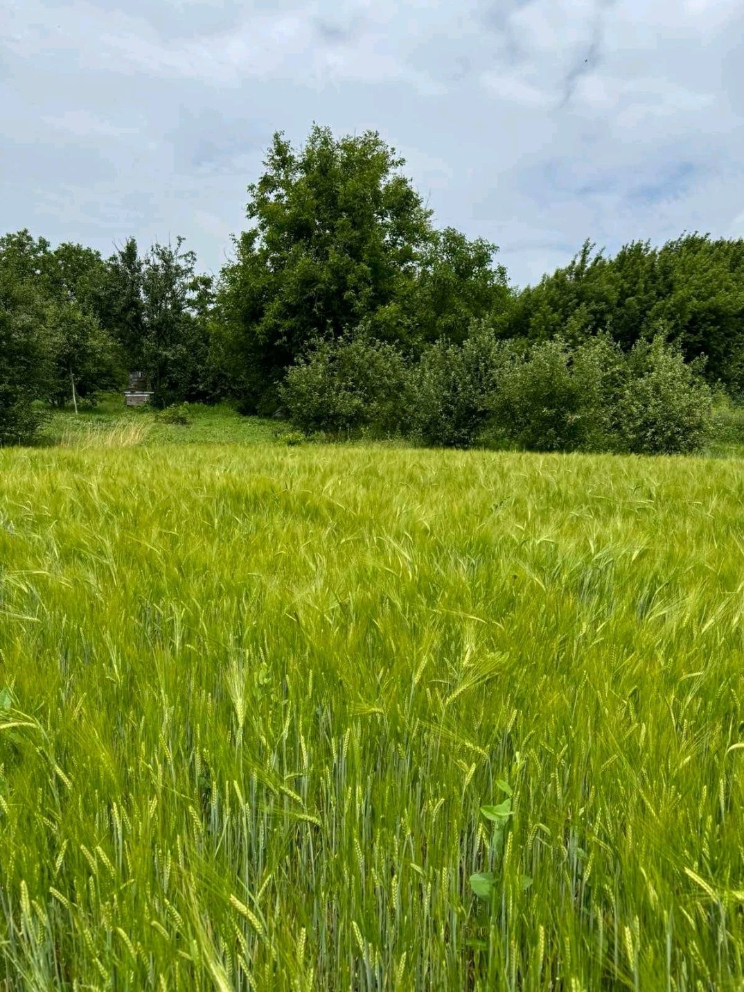 Продам добротний, сухий, доглянутий, кирпичний будинок.