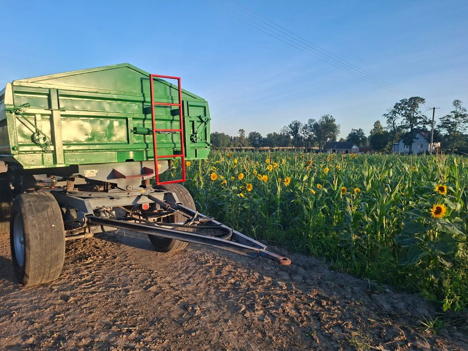 Super cena 5% rabatu Sprzedam przyczepę  Ifa hw hl