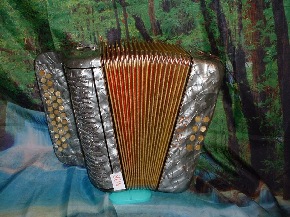 Concertina n. 508