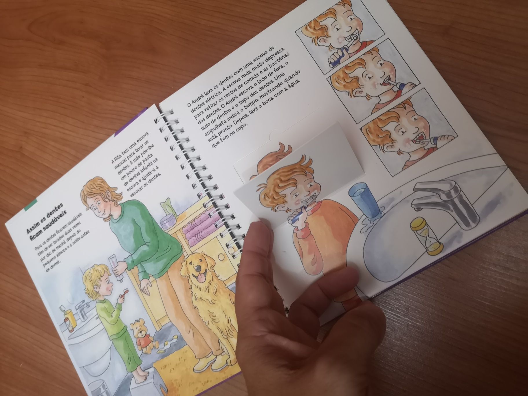 Livro Explica me Como É