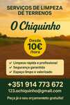 Limpeza de Terrenos - Serviço de Silvicultura
