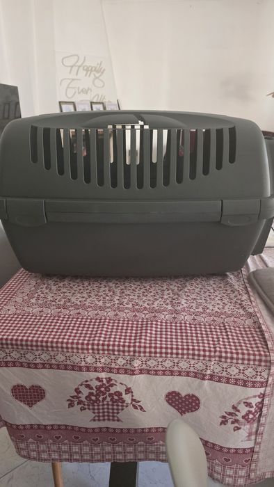 Transportadora Gulliver 3 com porta de plástico - Stefanplast