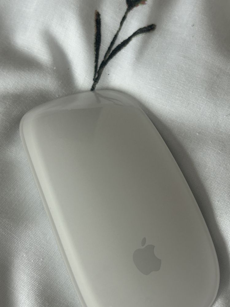 Magic mouse apple