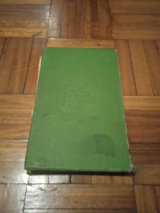 O Amor na Turquia (A Vida no Harem) - Jane De La Vaudére