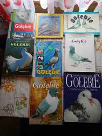 gołębie literatura