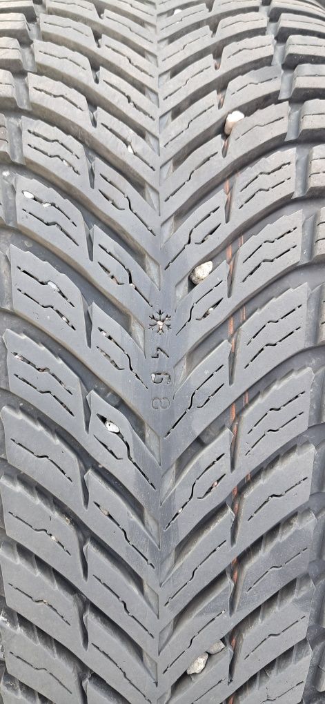 Komplet opon calorocznych Nokian tyres seasonproof 1 205/50/17