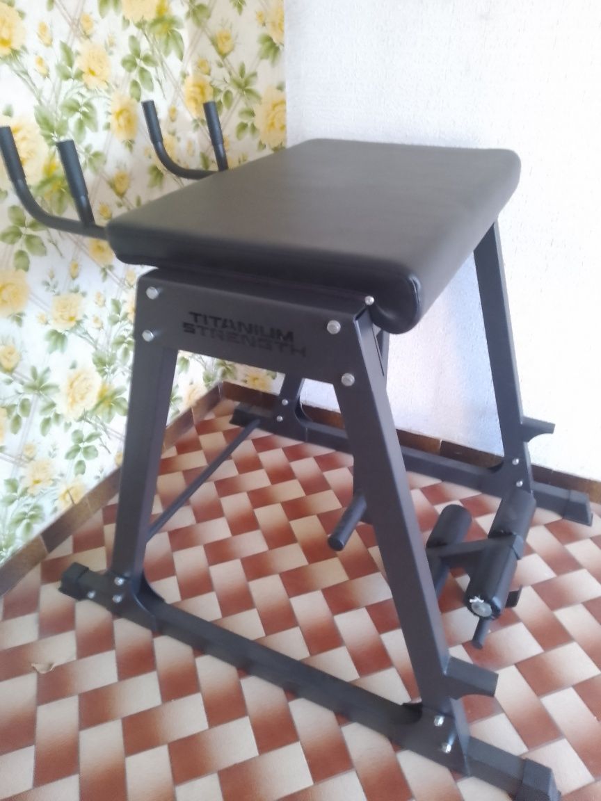 Reverse Hyper - maquina de ginásio
