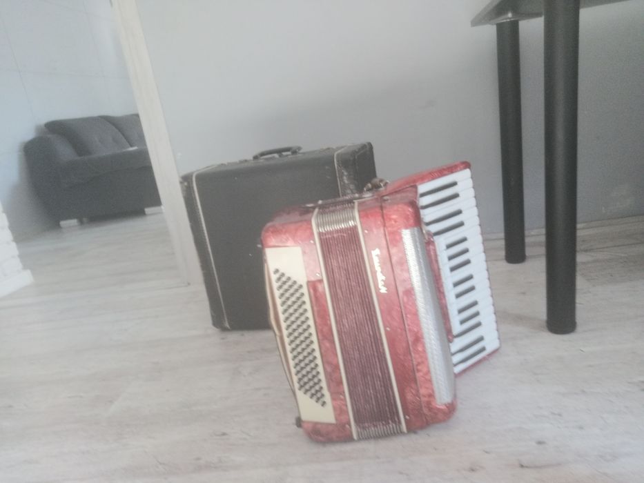 Akordeon Victoria 2