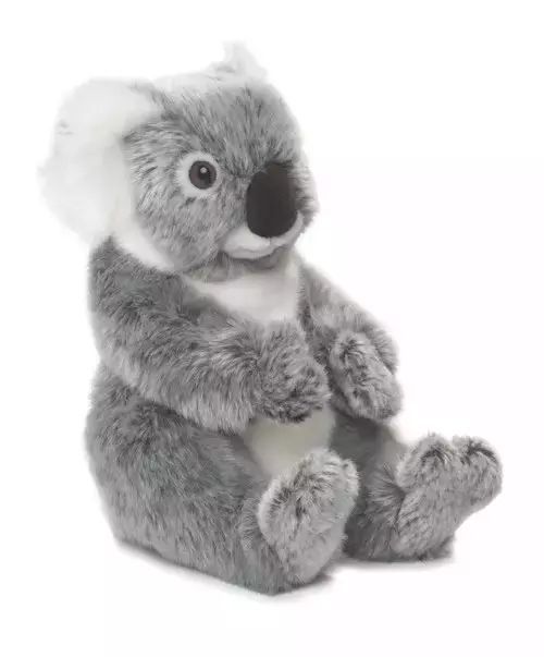 WWF. Koala, 22 cm. WWF Plush Collection