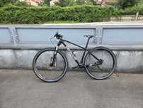 Specialized Stumpjumper HT 29