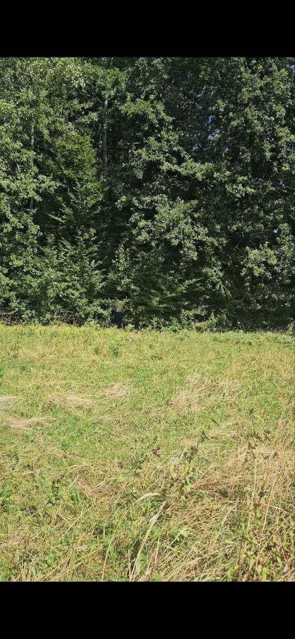 Земельні ділянки 1.87га в с.Стопчатів Косівський район