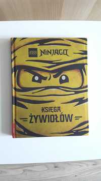 LEGO Ninjago Księga żywiołów ninja Spinjitzu Lloyd kay
