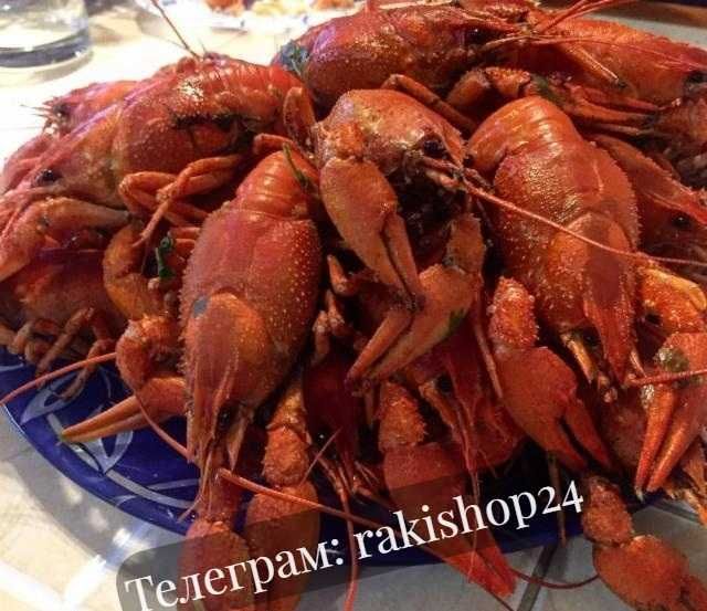 РАКИ. Доставка по місту. Живі та варені.
