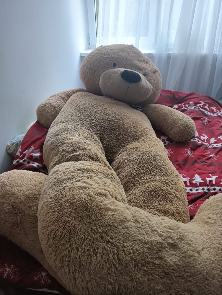 Ogromny miś pluszowy