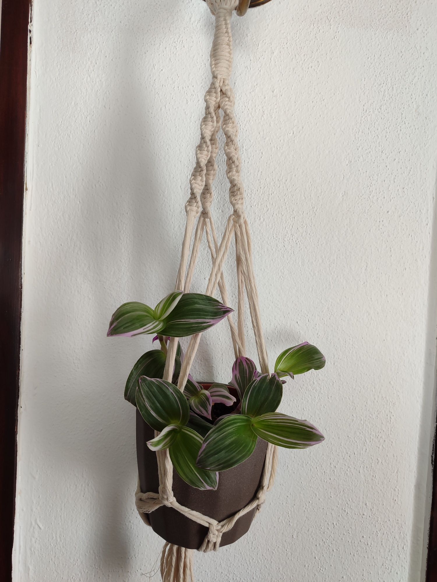Suporte plantas macramé