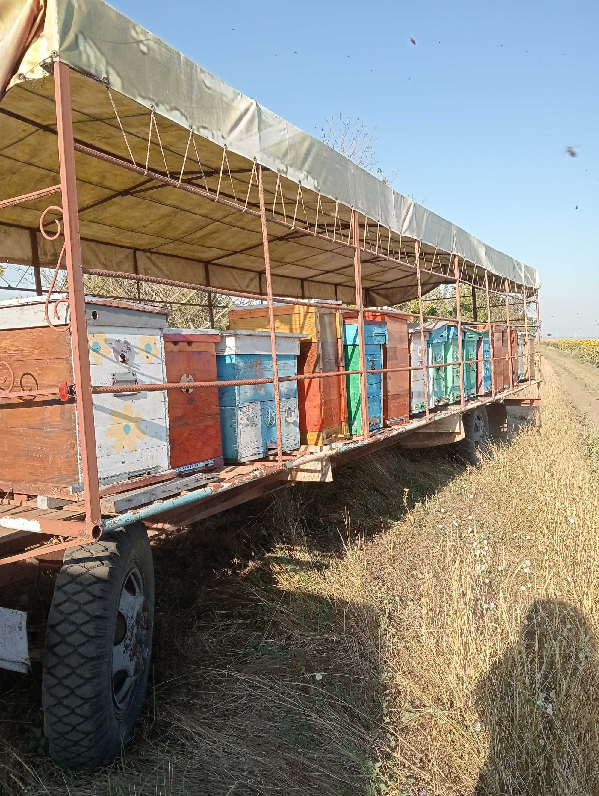продам критий причеп для бджіл