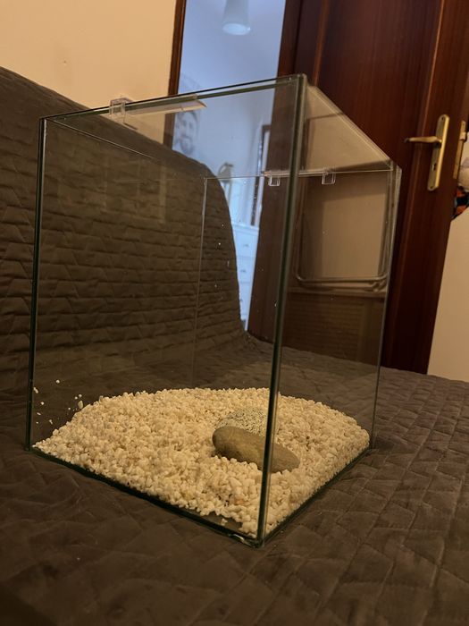 Aquário em vidro – design cúbico | 25 × 25 × 30 cm