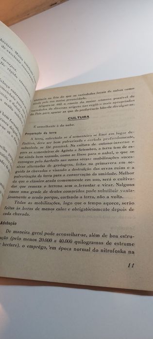 A Rutabaga, Planta Hortense e Forraginosa - Artur Castilho (1943)