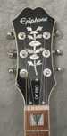 Epiphone DC Pro – Wild Ivy