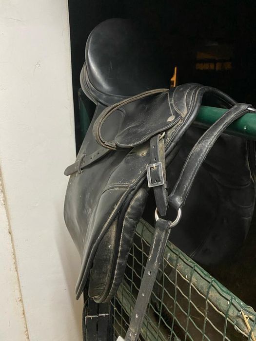 Selim ensino MARJOMAN Regent DR