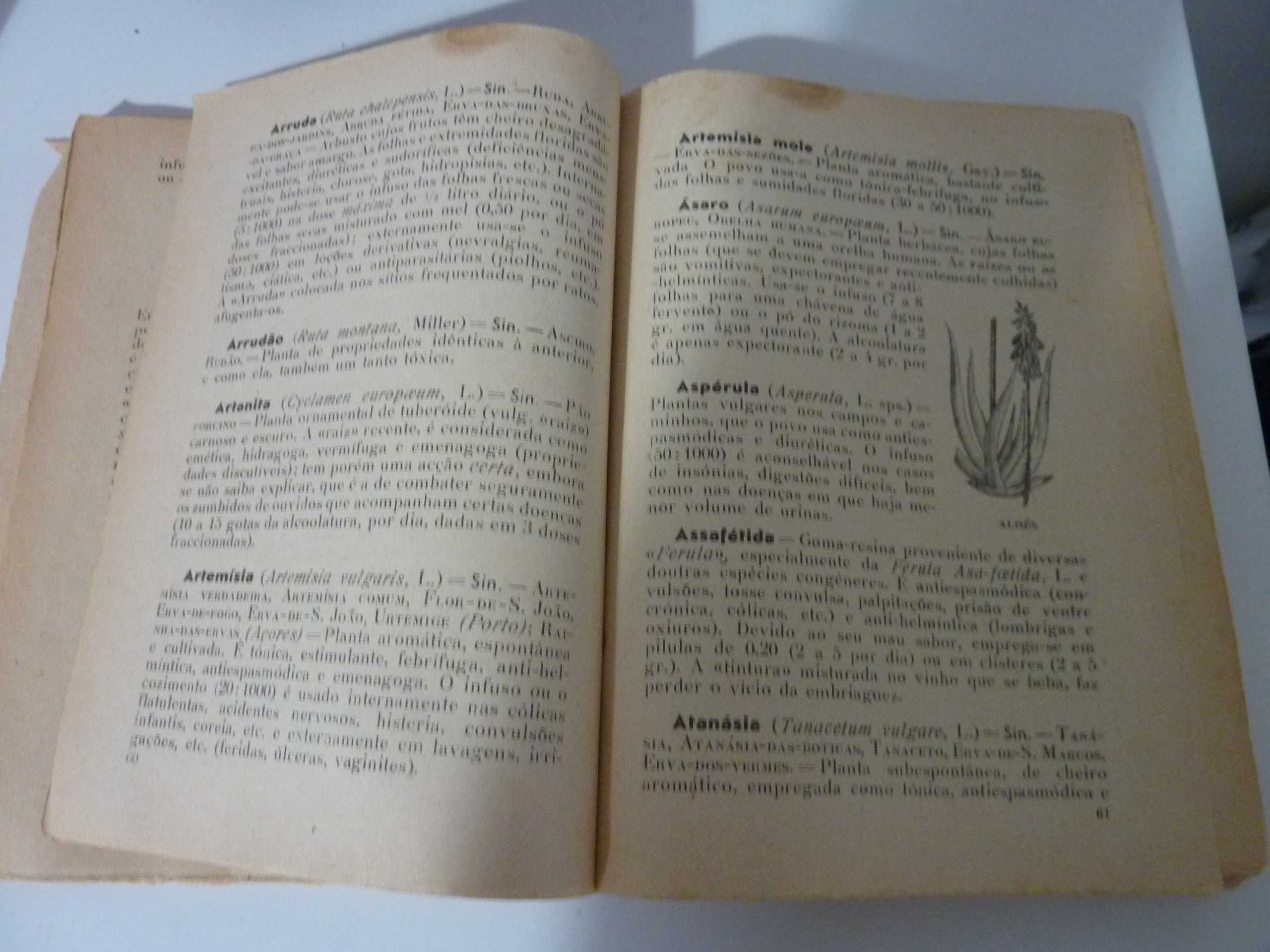 Livro raro "Medicina pelas plantas" (1952)