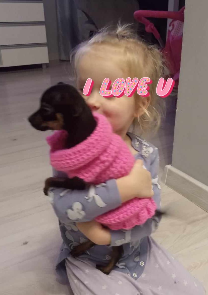 Cieplutkie Ubranko Sweterek XXS ratlerek chihuahua