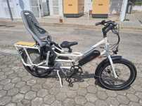Bicicleta carga elétrica RadPower RadWagon 4 Nova