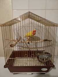 клітка для папуги птахів клетка для попугая птиц