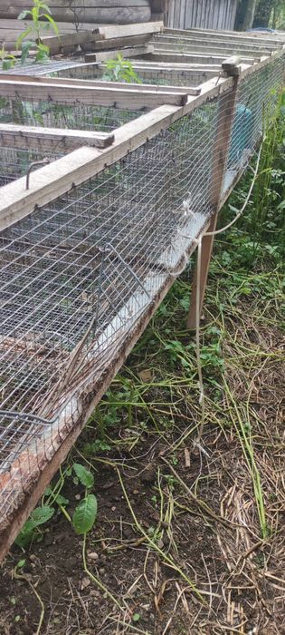 Клітки для кролів