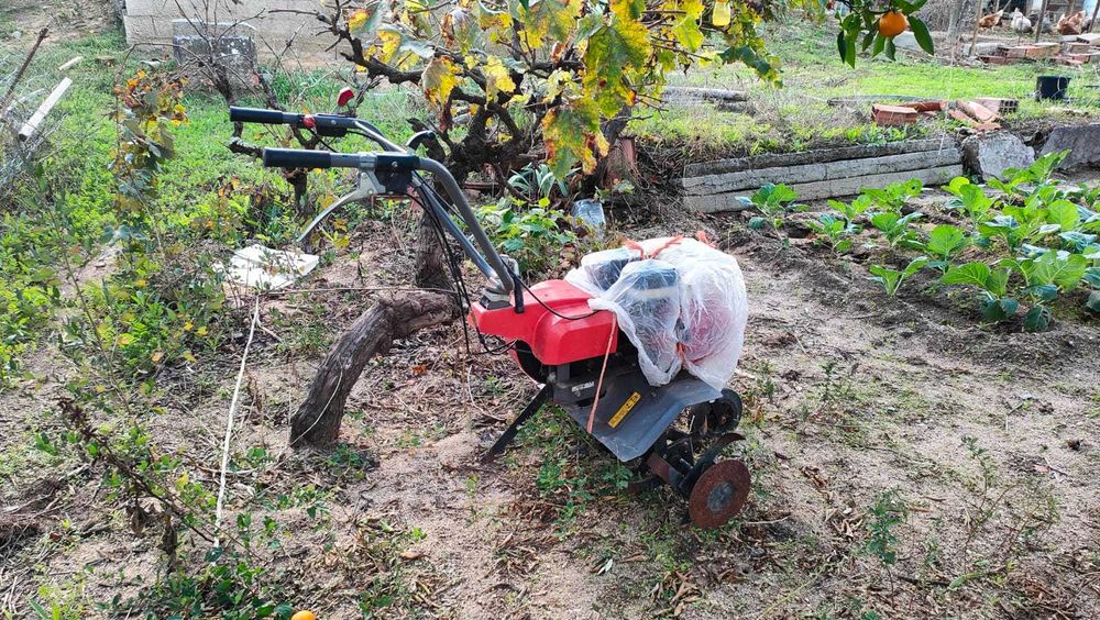 Motoenxada a gasolina