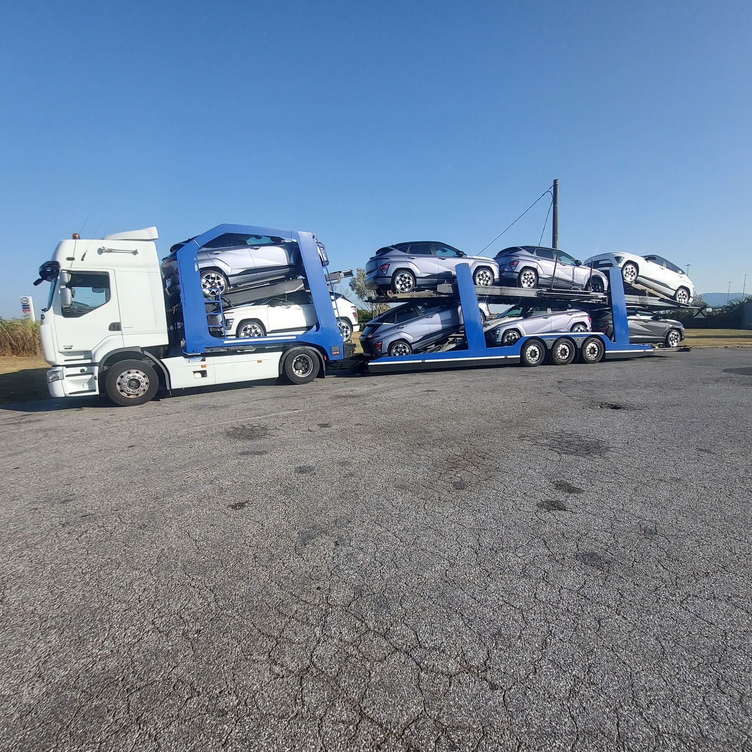 Renault premium +Lohr300