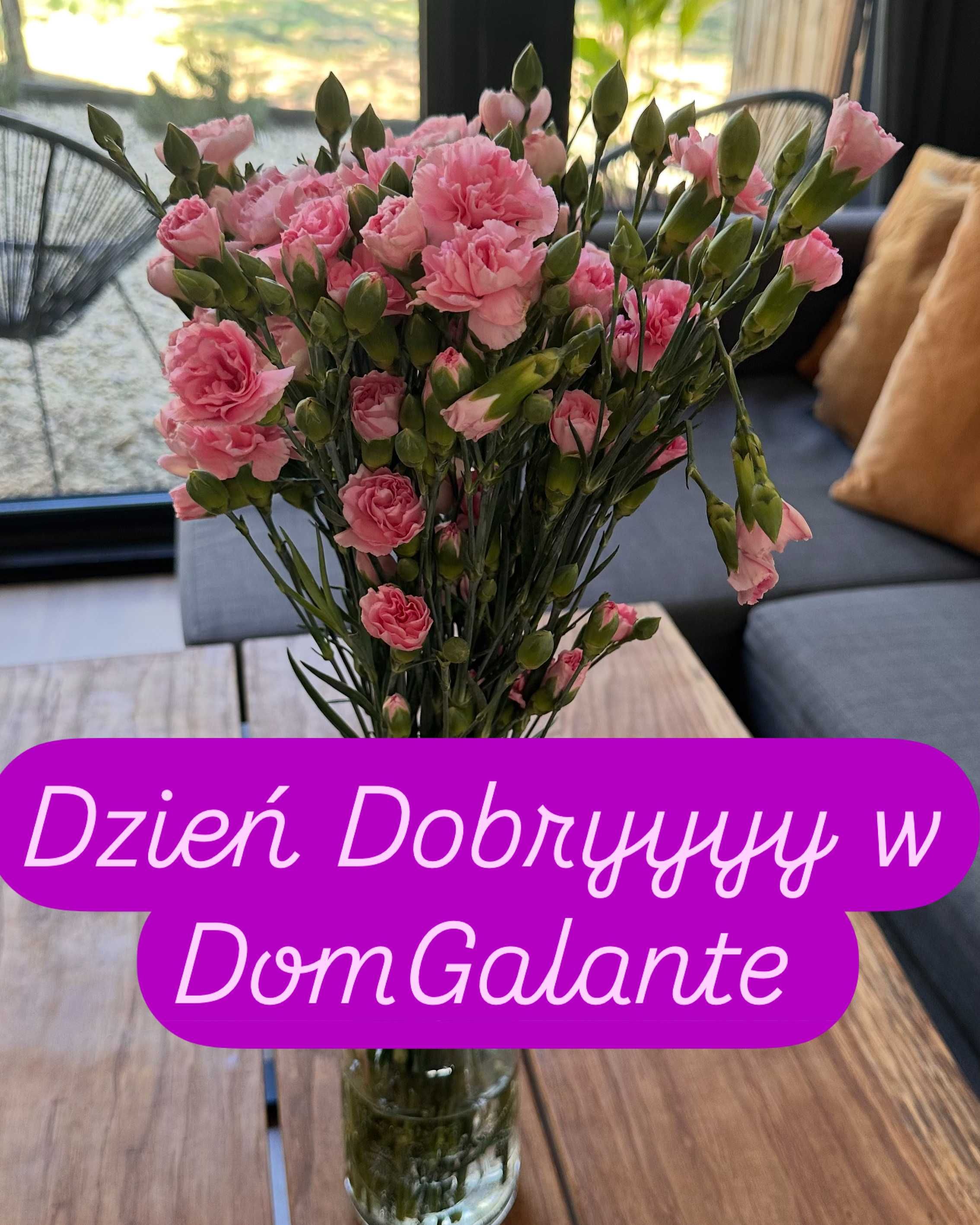 Terminy od września•Chill•Nowoczesna stodoła•Las•Design•Brodnica•