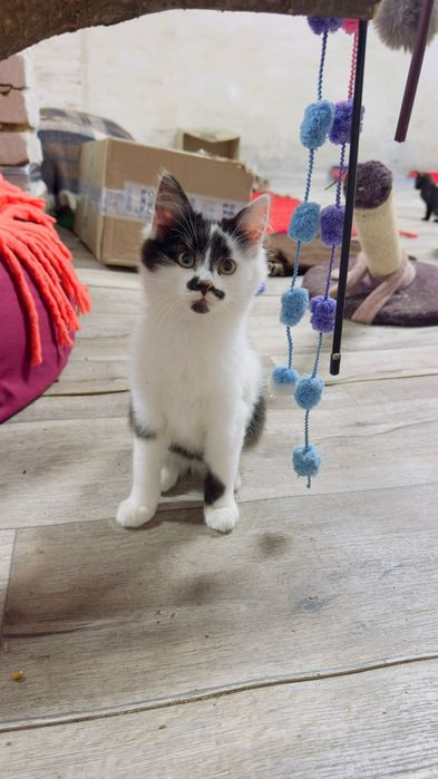 Хлопчик шукає дім